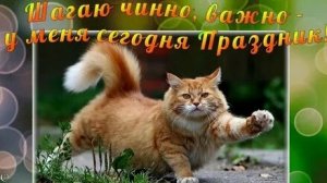 Мурчащий праздником. С днём кошек. Самая лучшая музыкальная открытка.