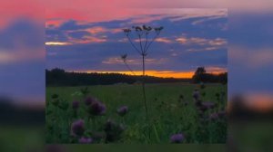 Спокойная музыка для души 2025–2026 | Слушать онлайн бесплатно без рекламы