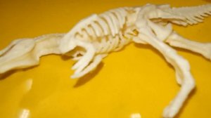 Изучаем динозавра.