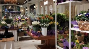 "Пассаж в цветах", Москва, Петровский пассаж, 28 февраля 2026 года