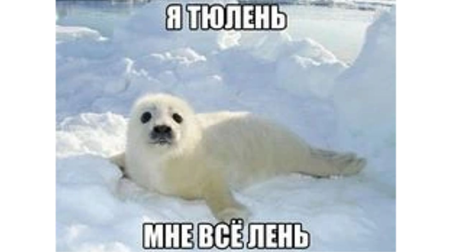 Я модельку рисую так что жуйте пока-что это (конец топ)