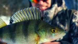 Рыба прёт на меляк, провалился, безмотылка комарик выручает