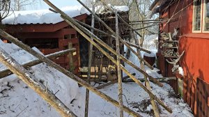 Демонтаж у Избушки, ушастые подружки и новая ваза