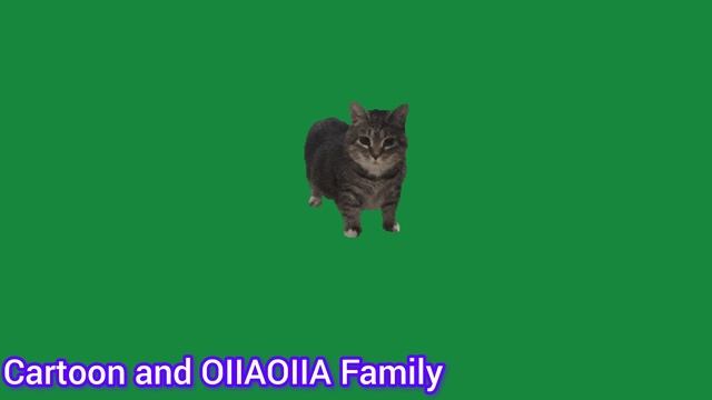 Главный клип канала