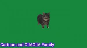 Главный клип канала