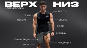 Идеальный сплит на 4 дня: Программа ВЕРХ-НИЗ для роста мышц