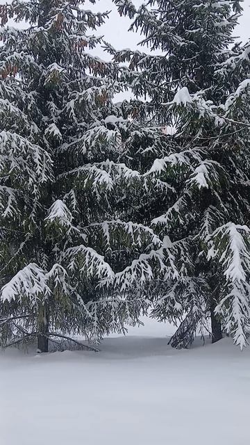 А ЗАВТРА  - МАРТ!!!