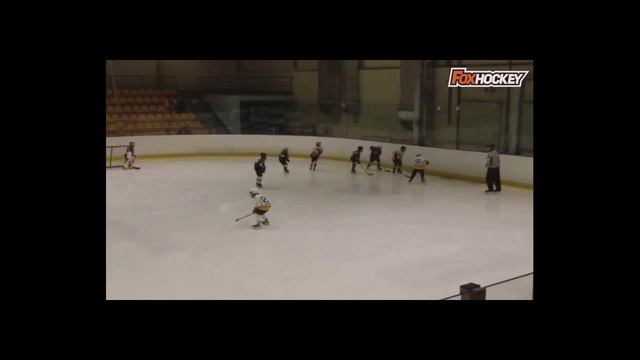 Хоккей ,юмор