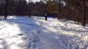 01-03-2026 прогулка по парку Гагарина