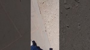 НАШЕЛ ДРЕВНЕЕГИПЕТСКИЙ СКЕЛЕТ ЭМБРИОНА ЧЕЛОВЕКА!! ХОШУ ПО ГРОБНИЦАМ В ЕГИПТЕ ВЛОГ