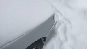 Мопеды сериал | Серия 2044