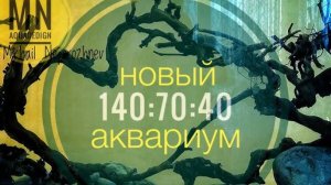 Бюджетный аквариум на 400 литров и его содержимое