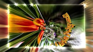 Весеннее Поздравление С Днём Рождения 6 от Киностудии Мудрого Кота Тимофея!