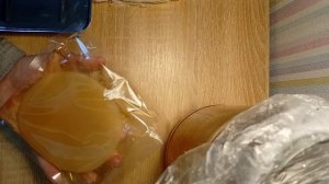 выращиваю чайный гриб.