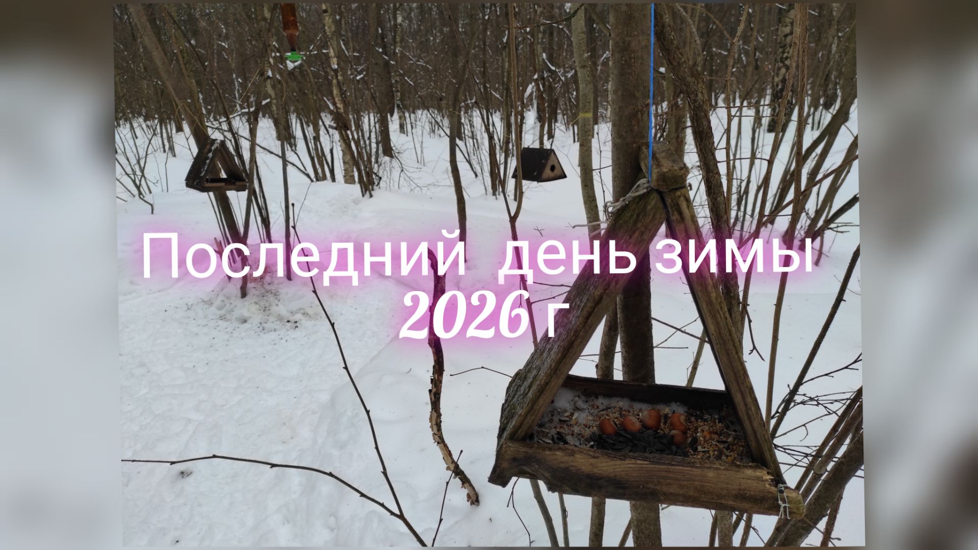 Последний день зимы 2026. Катаюсь на лыжах и кормлю птичек