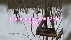 Последний день зимы 2026. Катаюсь на лыжах и кормлю птичек