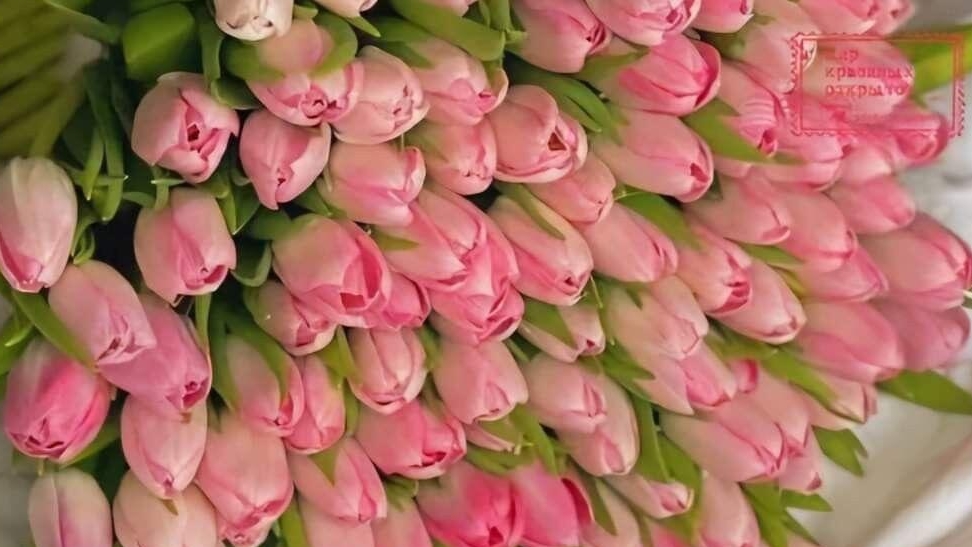 Совет для Вас от мудрых Рун!🙋♀️🌹💥