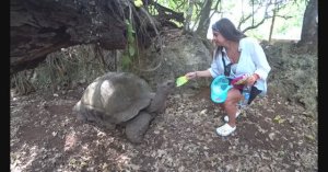 Остров Черепах Занзибар #7