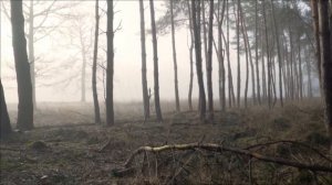 Март - Месяц больших выигрышей. Какие числа выбрать.