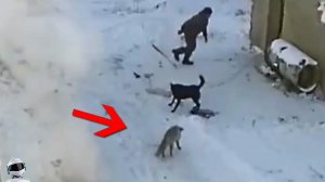 Жутко, Но Реально! Редкие Кадры Что Взорвали Интернет