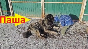 Знакомство