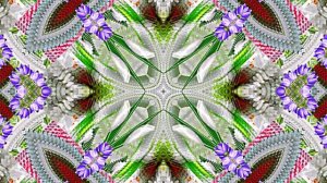 С Днём Рождения!!! Весенний вальс цветов 5!!!