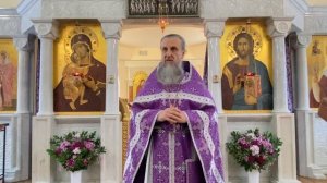 Бог видел его под смоковницей. Что это значит для каждого из нас? Отец Игорь Бачинин