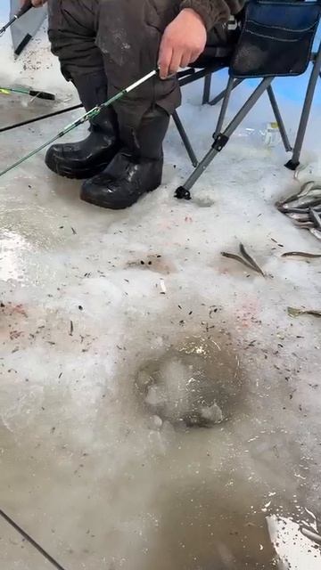 Ловля наваги на блесна Охотник и Гусеница большая UV от Mr. Musurok