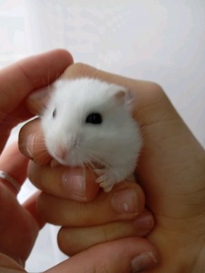 супермаркет