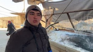 хоразим хазарасп балик бозори нархлари 28 феврал