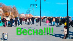Евпатория 2026. Шикарная погода, толпы народа на набережной Терешковой, зацвели подснежники!