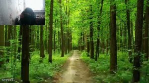 снова играю в редматч как в старые добрые