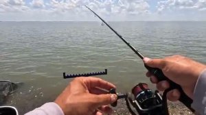 Рыбалка на водохранилище и активный клёв рыбы на фидерную снасть