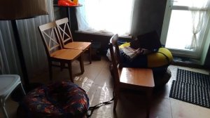 Как я зарабатываю на питомник!