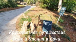 В дендрологическом парке «Дендрарий» в Сочи находится «Японский садик» — уголок, в японском стиле.