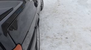 petal_20260301_125902.mp4