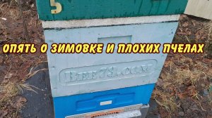 ПЧЕЛОВОДСТВО основные проблемы пчеловодства зачем на союзы и форумы