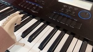 Лошади Шляйх в филармонии: первый концерт