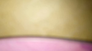 моя поломоечная машина т5