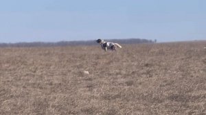 Кузя и Black Fury. 01.03.26.