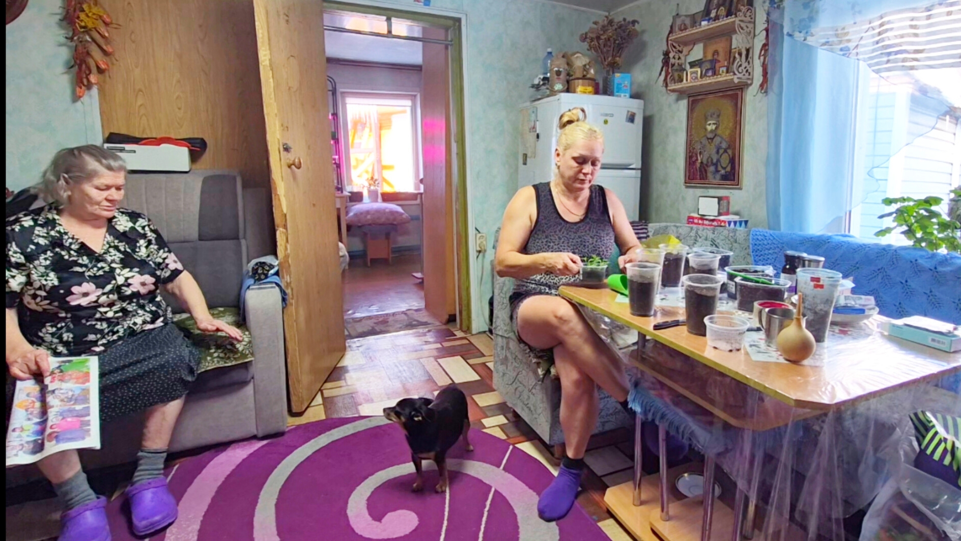 Наша деревенская жизнь,Распикировала петунью смотреть онлайн