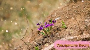 Ура,пришла Весна.