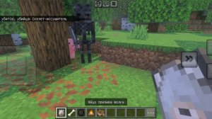 ИГРОК  НОДЕЛАЛ 0 СКЛЕТОФЬ