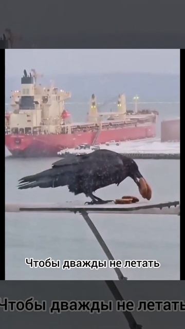 Чтобы дважды не летать