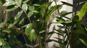 Вновь и вновь...