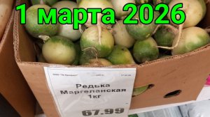 1 марта 2026. Весна!