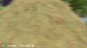 СПАСИБО, МИЛАЯ!