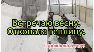 Встречаю весну. Откопала теплицу.