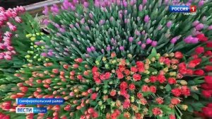 ВЕСТИ КРЫМ: «События недели» 01.03.2026