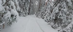 Опасно спускаюсь с горы Известной (23.02.2026г)